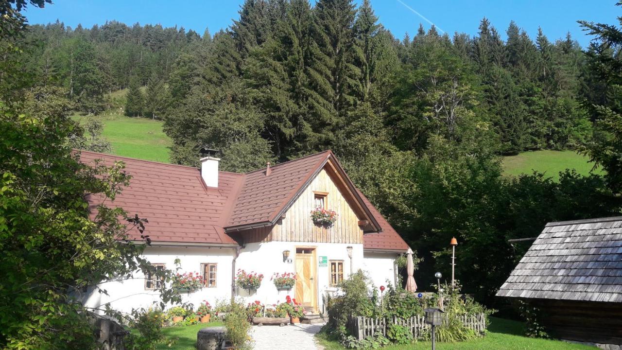 Ferienhaus Lenzau Strohmarkt Luaran gambar
